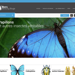 réalisation d'un site e-commerce ben's beauty bugs